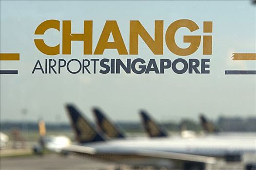 乘客,飞机,新加坡,航线,航站楼,国际机场,印度尼西亚,东南亚