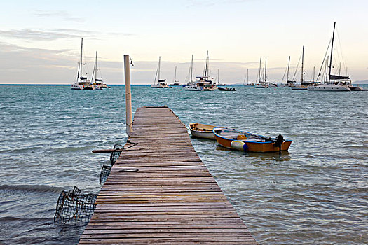 加勒比,英属维京群岛,码头,捕虾笼,靠近,礁石,大幅,尺寸