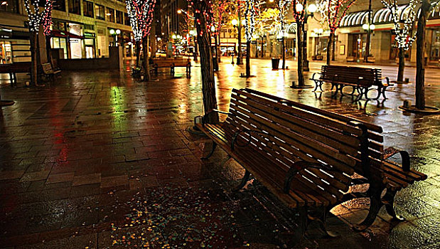 西雅图,华盛顿,美国,城市公园,长椅,夜晚