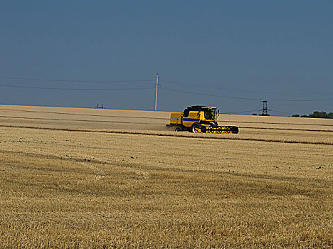 农场,交通工具,小麦,作物