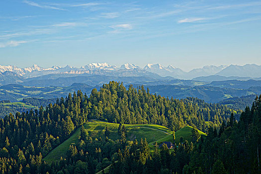 风景,区域,伯尔尼,伯尔尼州,瑞士,欧洲