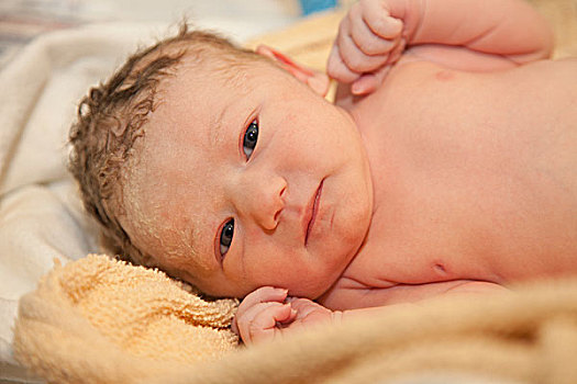 婴儿,女孩,早产儿保育器,艾伯塔省,加拿大