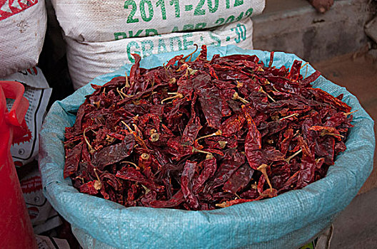 干燥,辣椒,拉贾斯坦邦,印度
