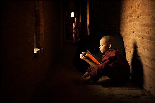 佛教,新信徒,读