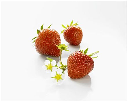 三个,草莓,草莓花