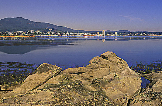 港口,砂岩,前景,温哥华岛,不列颠哥伦比亚省,加拿大