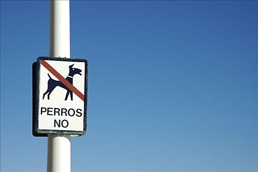 禁止,标识,狗,海滩,白色海岸,西班牙