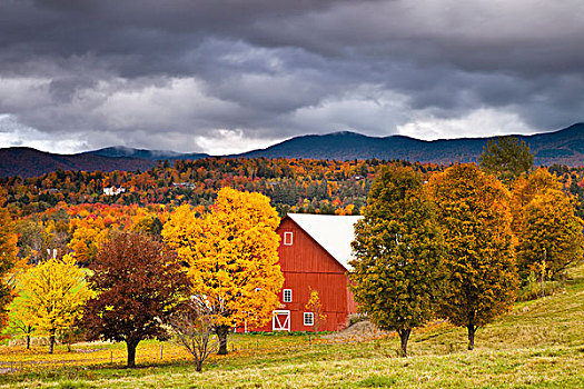 秋天,谷仓,靠近,佛蒙特州,美国