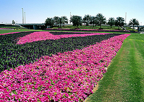 漂亮,花园,迪拜,阿联酋