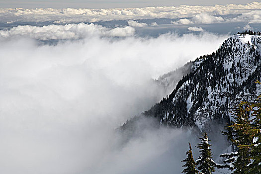 雾,华盛顿山,温哥华岛,不列颠哥伦比亚省