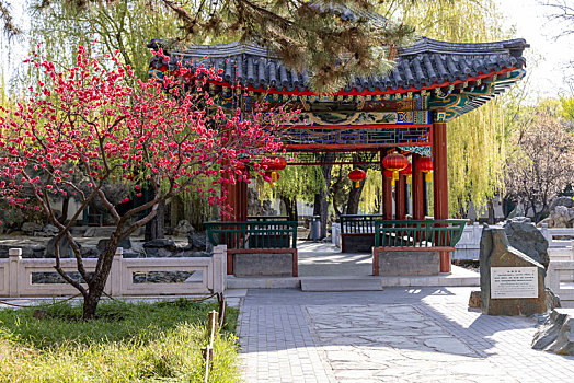 北京市,大观园景区