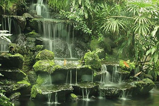 瀑布,国家公园,泰国