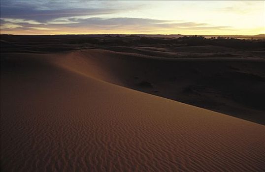 沙丘,沙漠,荒漠景观,黎明,却比沙丘,靠近,梅如卡,摩洛哥,非洲