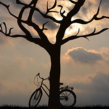 自行车,树