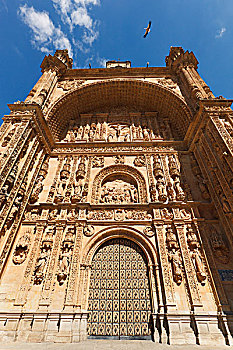 16世纪,多米尼加人,寺院,圣史蒂芬,复杂花叶装饰,拱形,萨拉曼卡,萨拉曼卡省,西班牙