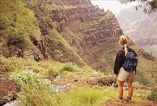 夏威夷,考艾岛,威美亚峡谷,后面,女人,远足者,小路,模糊,山谷