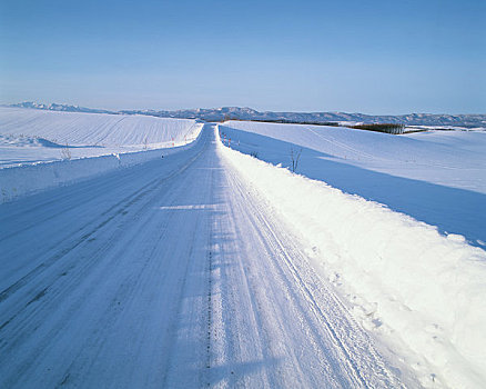 雪,道路