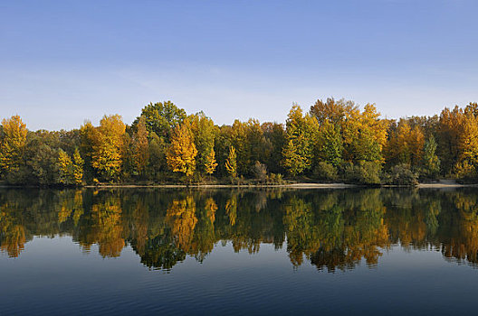 树,湖