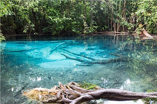 蓝色,水池,旅游景点,甲米,泰国