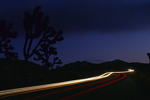 光影,沙漠,公路,夜晚,莫哈维沙漠,加利福尼亚,美国