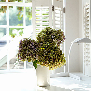 花,花瓶,白色,窗台