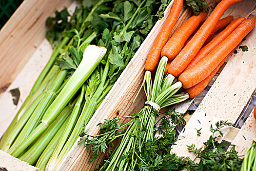板条箱,新鲜,胡萝卜,芹菜,法国,市场