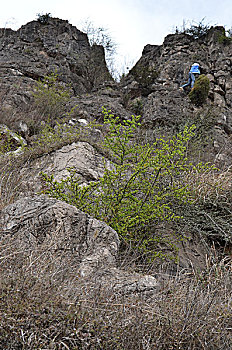 无限风光在险峰,石山,石塔,岩石,石头,亚洲,东亚,中国,贵州,毕节市,威宁县,天空,蓝天,旅行,自然美,白昼,户外,大尖山