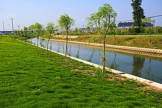 陈黄村,小河,水环境治理,护岸,道路,村庄