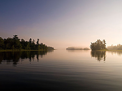 湖,木,安大略省,加拿大,反射