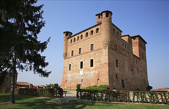 城堡,巴罗洛葡萄酒,区域,意大利,欧洲