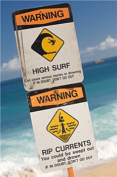 冲浪,警告标识,海滩,夏威夷