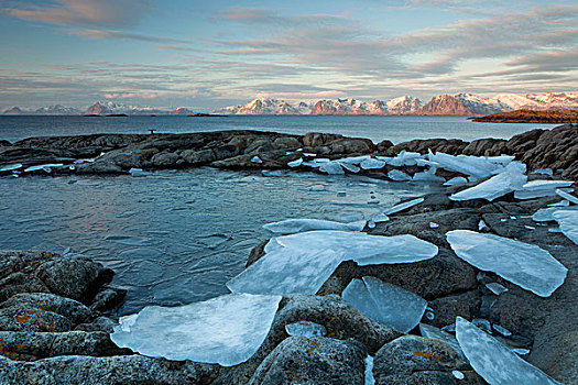 冬天,海岸,群岛,罗浮敦群岛,挪威,欧洲