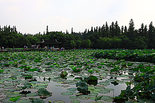 杭州西湖风光