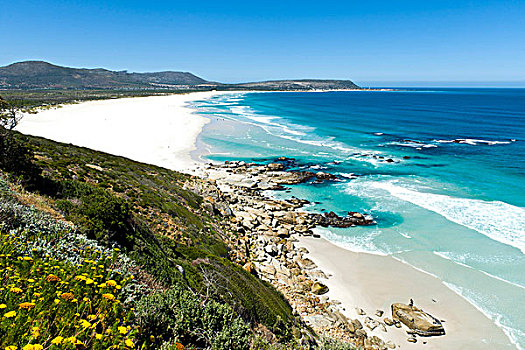 海滩,靠近,开普敦,西海角,南非,非洲