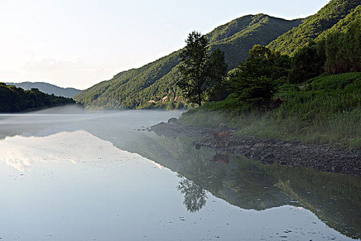 堰塞湖水雾