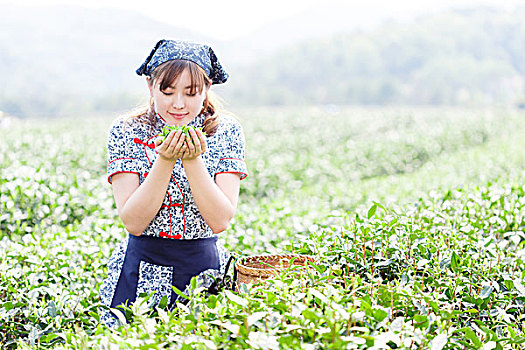 亚洲人,漂亮,女孩,种植园