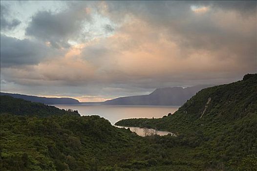 湖,北岛,新西兰