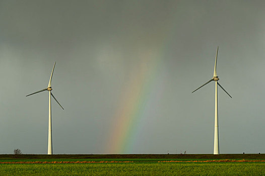 地点,风景,彩虹,两个,涡轮,风电场,北方,荷兰,靠近,瓦登海