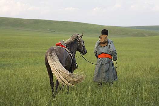骑手,走,马,内蒙古,中国