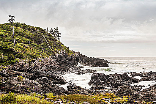 崎岖,海边风景,野外,太平洋,小路,温哥华岛,不列颠哥伦比亚省,加拿大