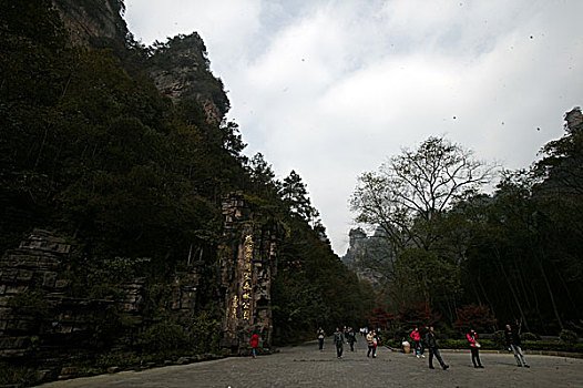 湖南张家界天子山国家森林公园