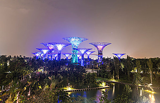 光亮,夜晚,花园,新加坡,亚洲