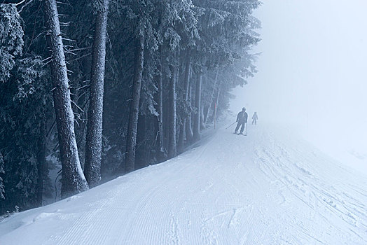 奥地利,蒙塔丰,滑雪坡,雾