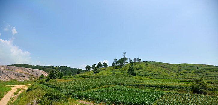 贵州东南部的绿色田野
