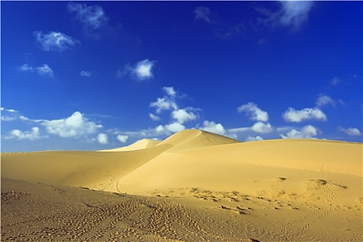 沙,沙漠