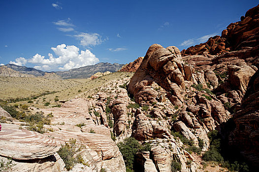 岩石构造,风景,红岩峡谷,国家保护区,内华达,美国