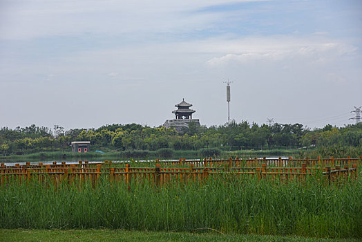 天津市西青区水西公园郊野风光