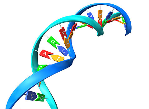 三维dna概念图
