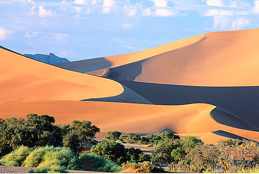 沙丘,纳米比诺克陆夫国家公园,纳米比亚,非洲
