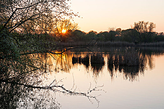 日落,自然保护区,图林根州,德国,欧洲